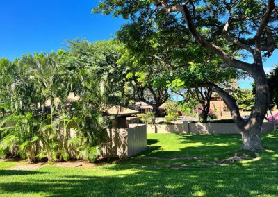 Pacific Shores Maui Grassy Meadow