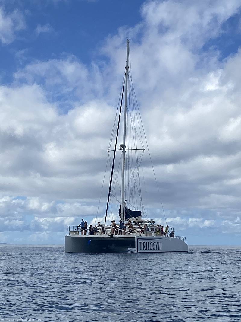 Support Maui Family Businesses - Trilogy Sailing Support Local Maui Business Trilogy