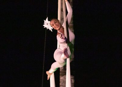 Grand Wailea Luau Aerial Performance