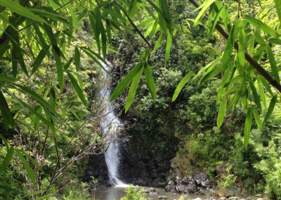 Maui Hiking Tour Hidden Waterfall