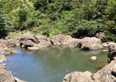 Maui Hiking Tour Swimming Hole
