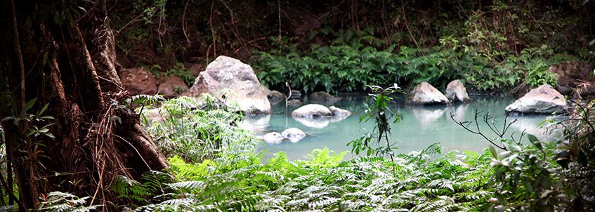 Maui Hiking Tour Swimming Pond