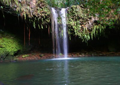 Maui Hiking Tour Twin Falls