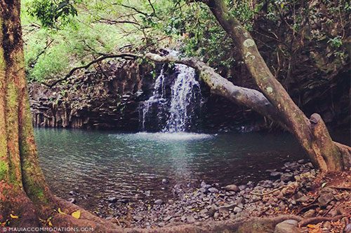 Maui Jungle Hiking Tour Waterfall