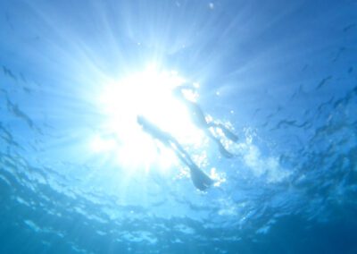 Pacific Whale Maui Snorkel Sun