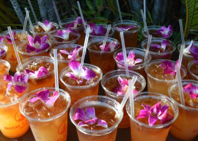 Royal Lahaina Luau Cocktails