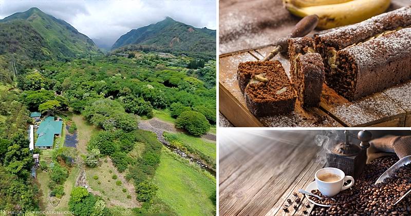 Unique Maui Bed And Breakfasts Iao Valley Inn