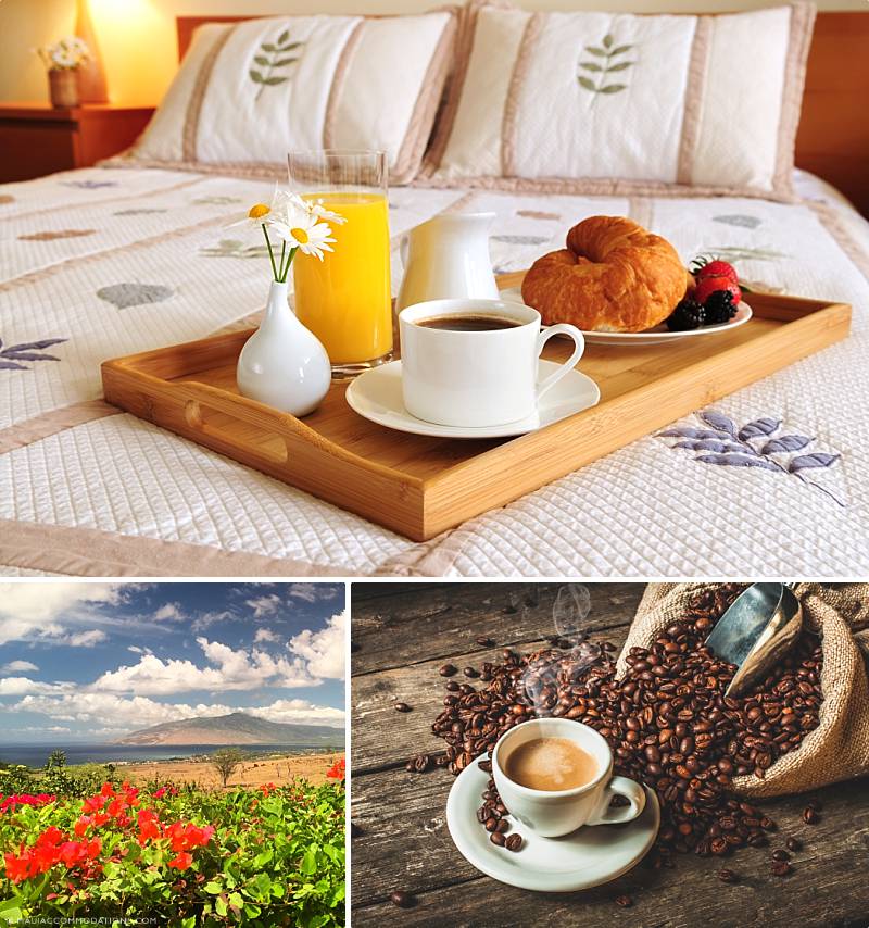 Unique Maui Bed And Breakfasts Wailea Food