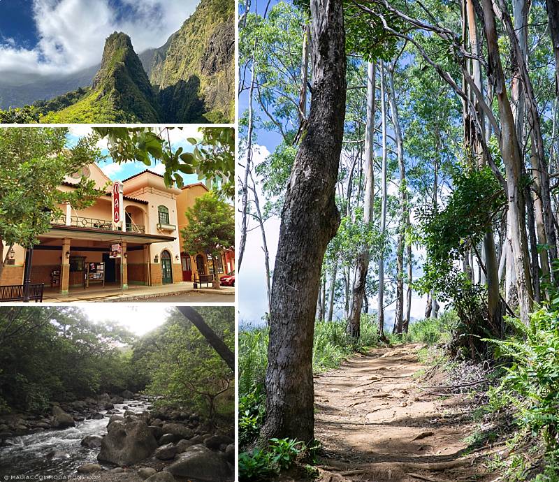 Unique Maui Bed And Breakfasts Wailuku