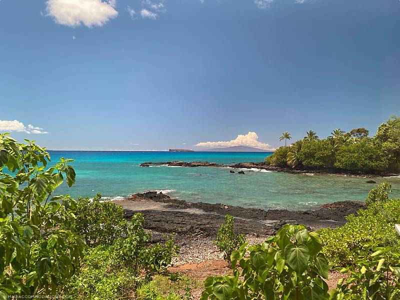 Best Maui Snorkel Spots Ahihi Cove