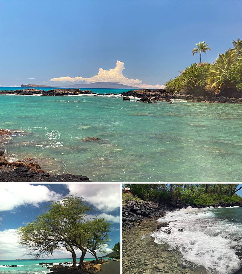 Best Maui Snorkel Spots Ahihi