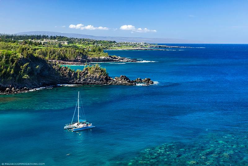 Best Maui Snorkel Spots Honolua Bay