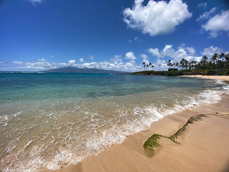 Best Maui Snorkel Spots Kapalua Water