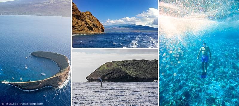 Best Maui Snorkel Spots Tour