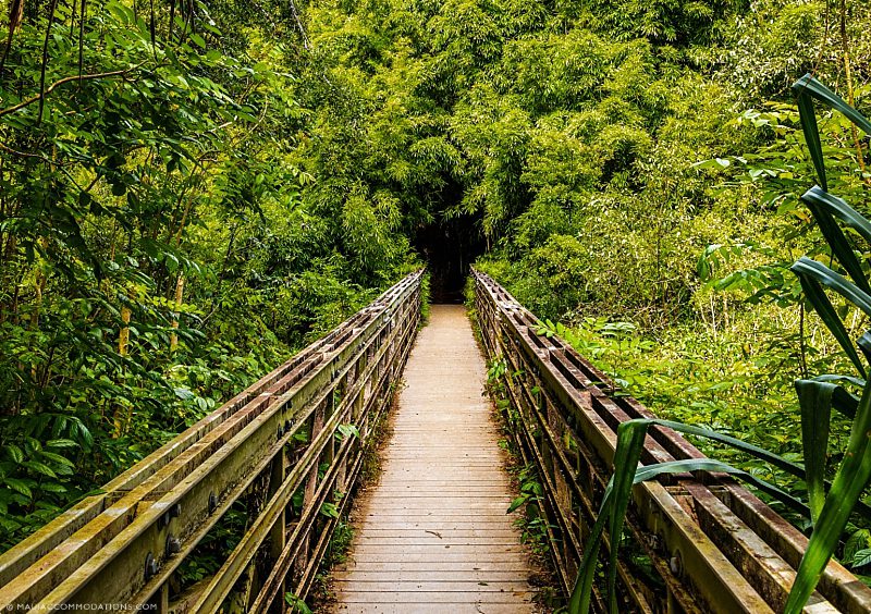 Easy Maui Hikes Bridge