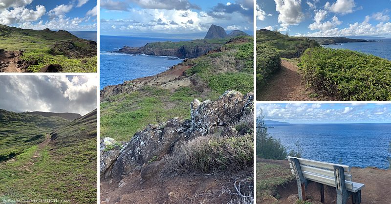 Easy Maui Hikes Ohai Trail