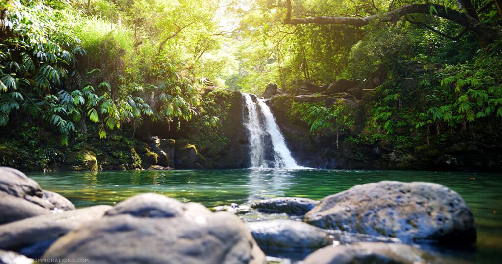 Easy Maui Hikes Waterfall