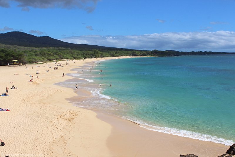 Living On Maui - Nice Climate Living On Maui Nice Climate