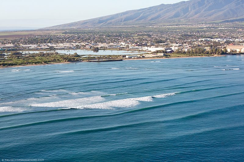 Living On Maui Waves