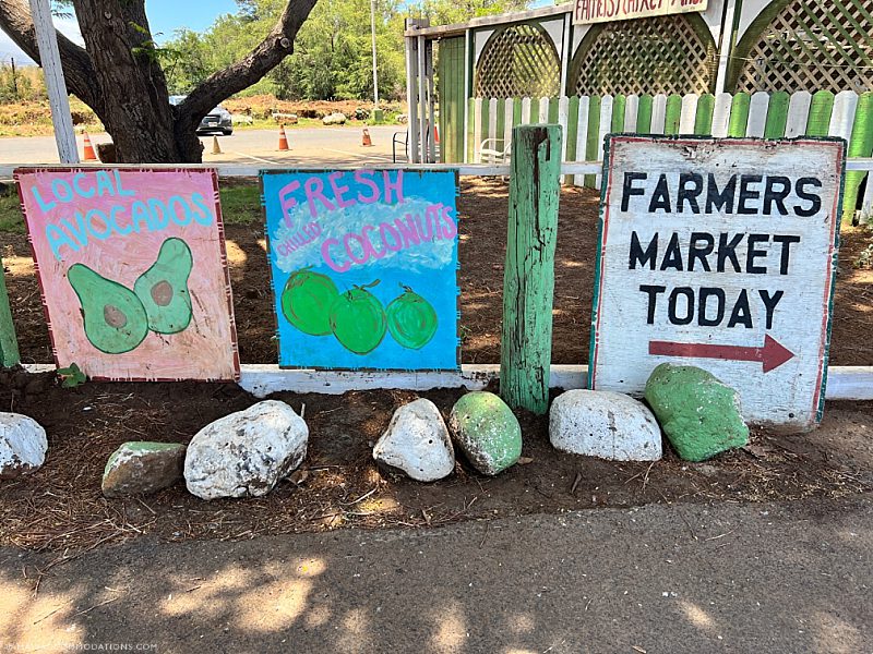 Fresh Fruit Maui Farmers Market Open