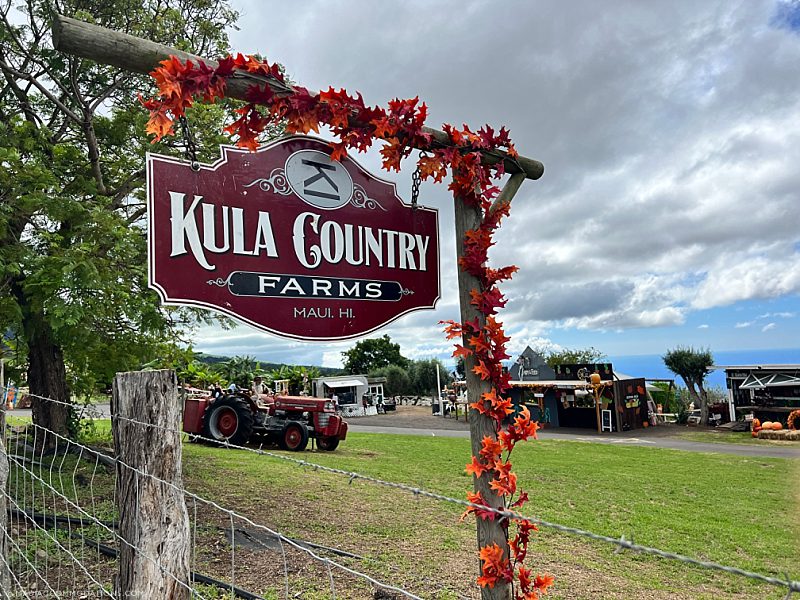 Fresh Fruit Maui Kula Country Farms
