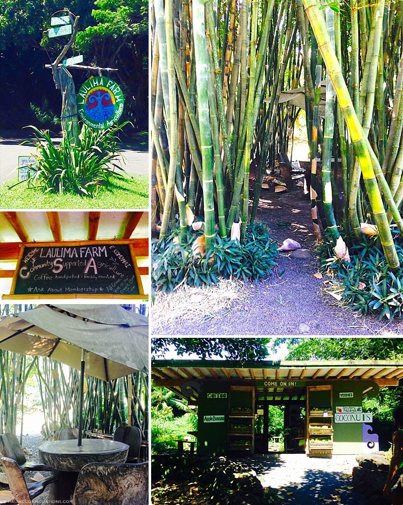 Fresh Fruit Maui Laulima Farm