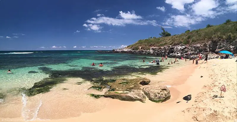 Christmas in Hawaii Busy Beach
