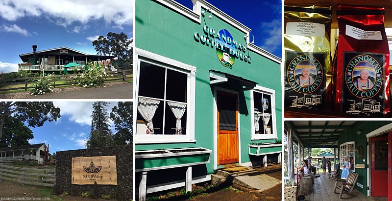 Maui's Cities And Regions Way Upcountry