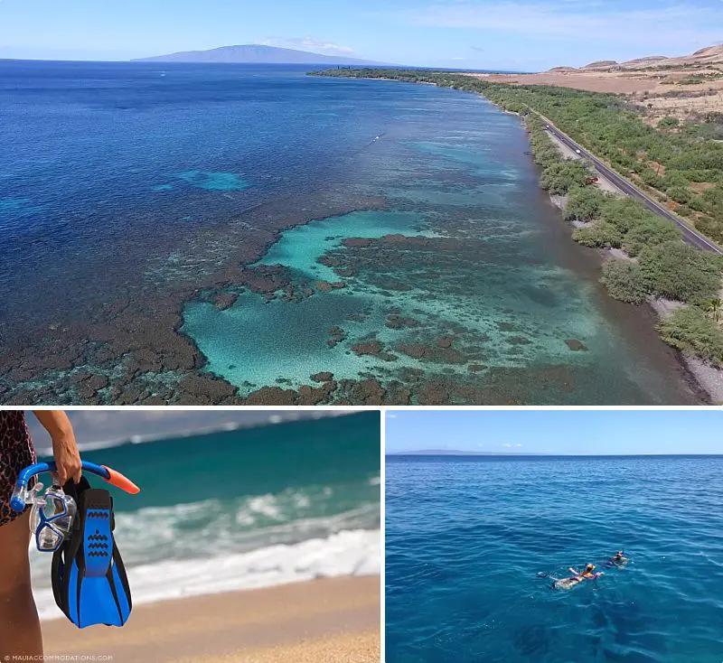 Snorkel Safe On Maui