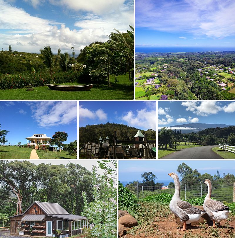 Explore Maui Towns Haiku