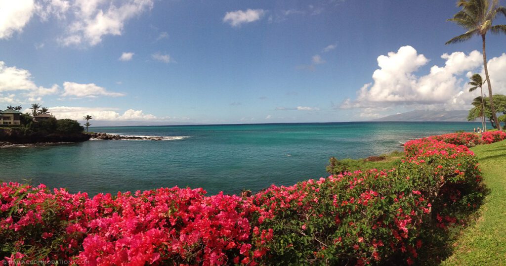 Explore Maui Towns Napili Coast