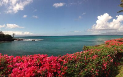 Underrated Towns On Maui You Need to Explore