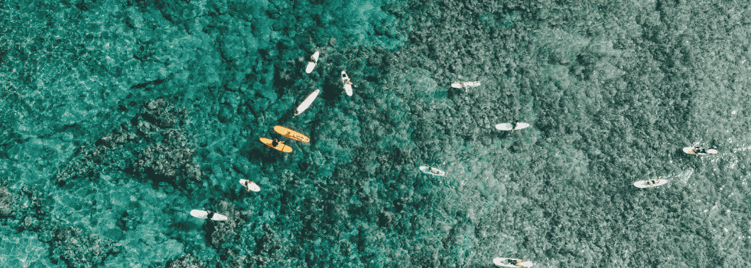 The Ultimate Reef-Safe Sunscreen Guide for Hawaii Visitors