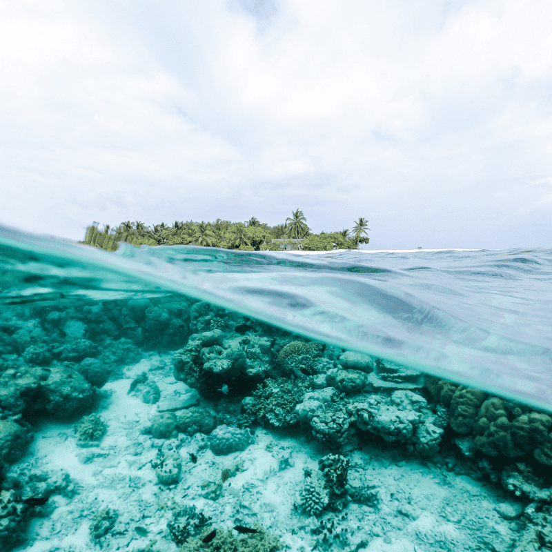 underwater and above water image of reef to the island