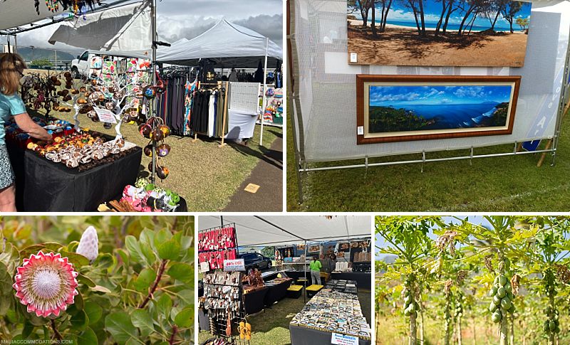Maui Craft Fairs and Markets Central Region
