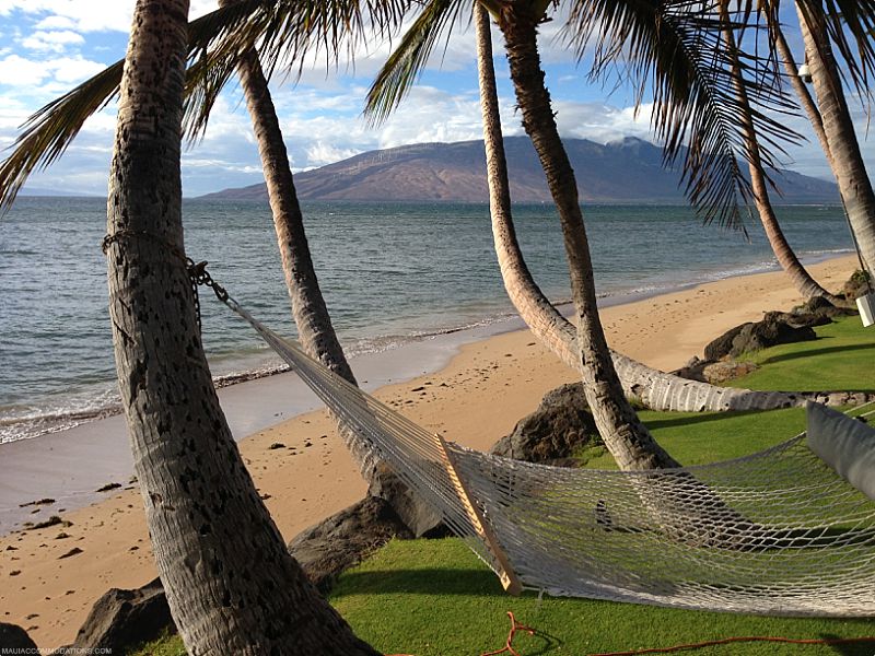 Rental Car on Maui Hammock