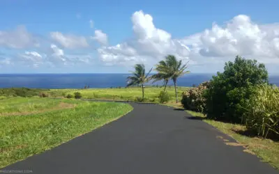 Do You Need a Car on Maui? A Traveler’s Guide to Getting Around