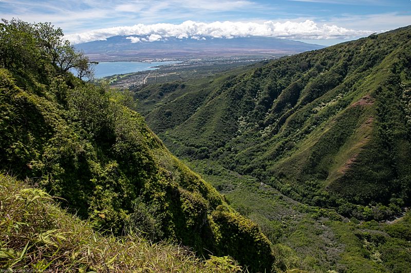 Rental Car on Maui Waihee Ridge