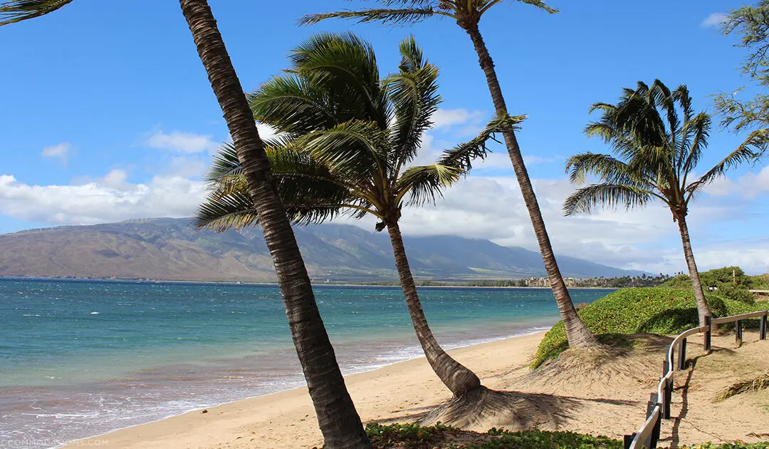 Wailea vs Kihei: Which is the Best Place to Stay on Maui?
