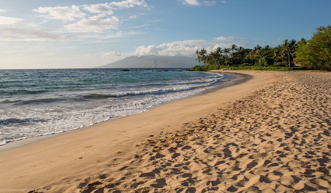 Elopement Photography on Maui: How to Choose the Perfect Spot