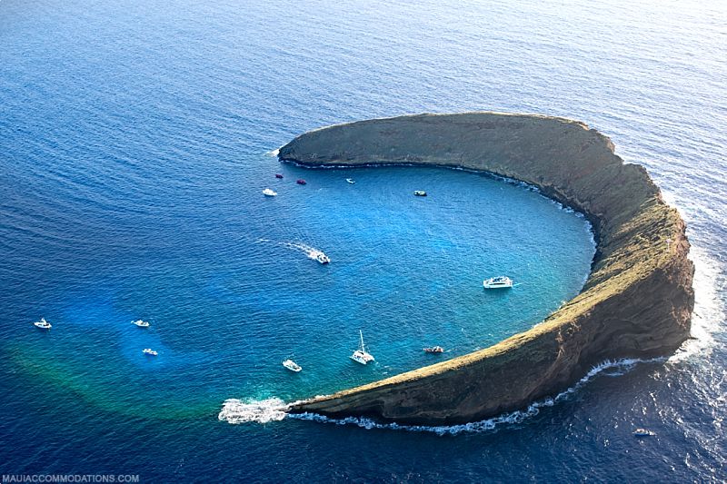 Maui Honeymoon Guide Molokini