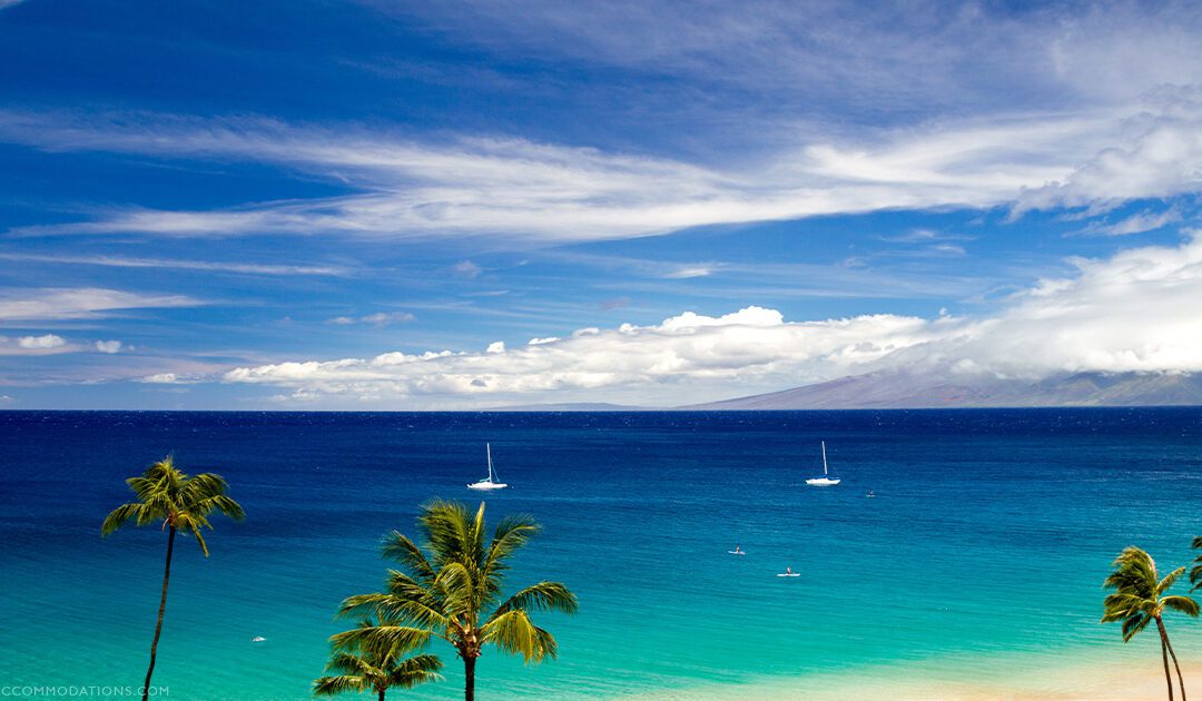 Kaanapali vs. Kapalua: Where Should You Stay?