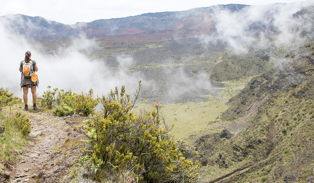 Best Maui Hikes by Difficulty: From Easy Walks to Challenging Trails