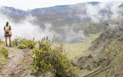 Best Maui Hikes by Difficulty: From Easy Walks to Challenging Trails