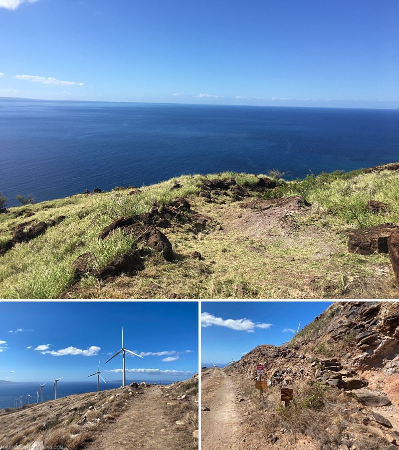 Best Maui Hikes Pali Trail