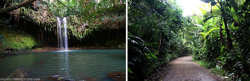 Best Maui Hikes Twin Falls