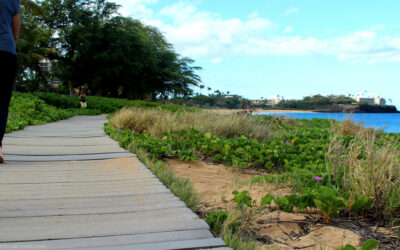 The Most Walkable Places to Stay on Maui (No Car Needed)